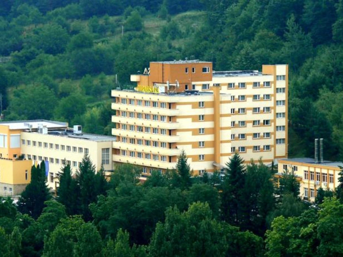 Szállás Hotel Germisara